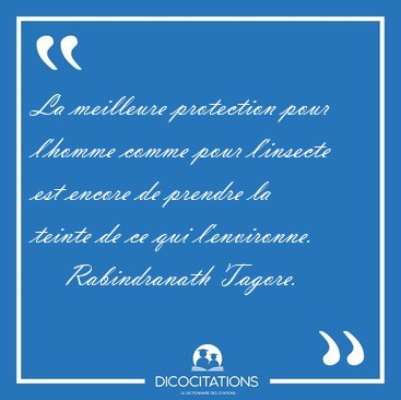 La meilleure protection pour l'homme comme pour l'insecte est [...] - Rabindranath Tagore...