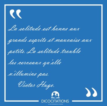 La solitude est bonne aux grands esprits et mauvaise aux petits. [...] - Victor Hugo...