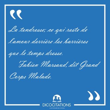La tendresse; ce qui reste de l'amour derri�re les barri�res que [...] - Fabien Marsaud, dit Grand Corps Malade...