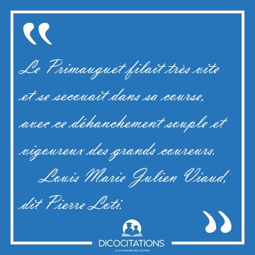 Le Primauguet filait trs vite et se secouait dans sa course, [...] - Louis Marie Julien Viaud, dit Pierre Loti...