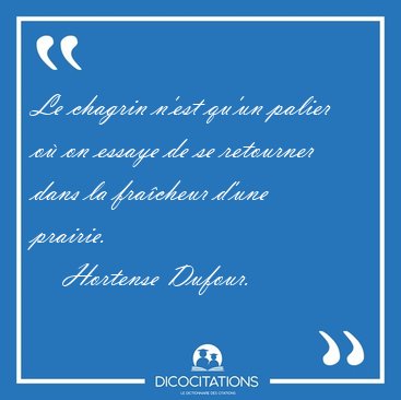 Le chagrin n'est qu'un palier o� on essaye de se retourner dans [...] - Hortense Dufour...