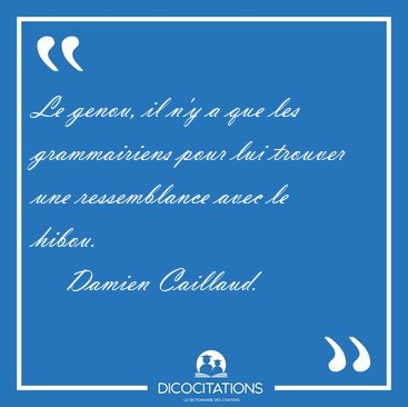 Le genou, il n'y a que les grammairiens pour lui trouver une [...] - Damien Caillaud...