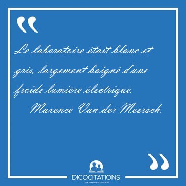 Le laboratoire �tait blanc et gris, largement baign� d'une [...] - Maxence Van der Meersch...