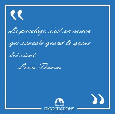 Le pucelage, c'est un oiseau qui s'envole quand la queue lui [...] - Louis Thomas...