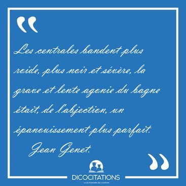 Les centrales bandent plus roide, plus noir et svre, la grave [...] - Jean Genet...