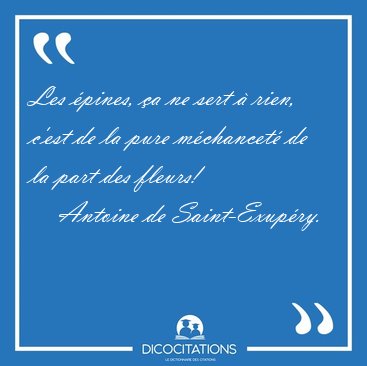 Les pines, a ne sert  rien, c'est de la pure mchancet de la [...] - Antoine de Saint-Exupry...