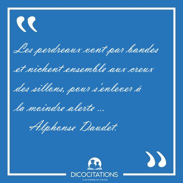 Les perdreaux vont par bandes et nichent ensemble aux creux des [...] - Alphonse Daudet...