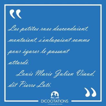 Les petites rues descendaient, montaient, s'enla�aient comme [...] - Louis Marie Julien Viaud, dit Pierre Loti...