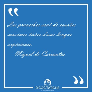 Les proverbes sont de courtes maximes tir�es d'une longue [...] - Miguel de Cervant�s...