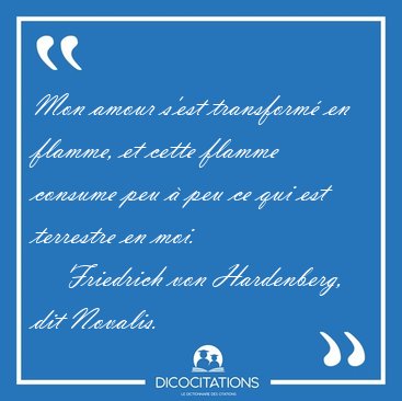 Mon amour s'est transform� en flamme, et cette flamme consume [...] - Friedrich von Hardenberg, dit Novalis...