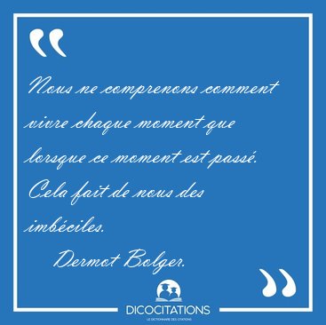 Nous ne comprenons comment vivre chaque moment que lorsque ce [...] - Dermot Bolger...