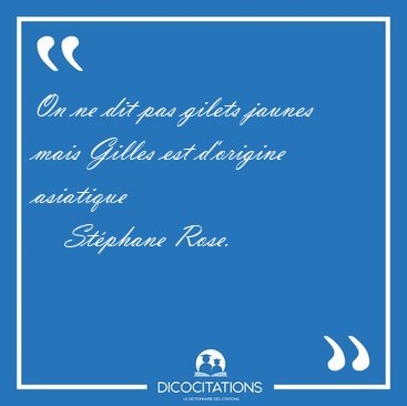 On ne dit pas gilets jaunes mais Gilles est d'origine [...] - St�phane Rose...