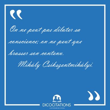 On ne peut pas dilater sa conscience; on ne peut que brasser son [...] - Mih�ly Cs�kszentmih�lyi...