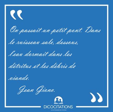 On passait un petit pont. Dans le ruisseau sale, dessous, l'eau [...] - Jean Giono...