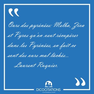 Ours des pyr�n�es: Melba, Ziva et Pyros qu'on veut r�cup�rer [...] - Laurent Ruquier...