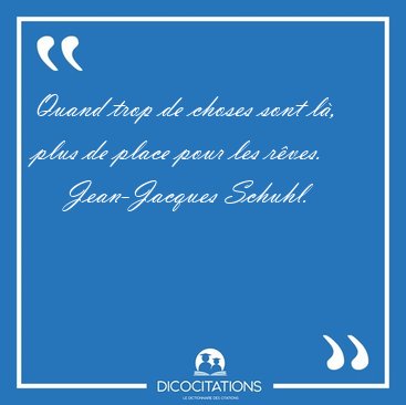 Quand trop de choses sont l, plus de place pour les [...] - Jean-Jacques Schuhl...