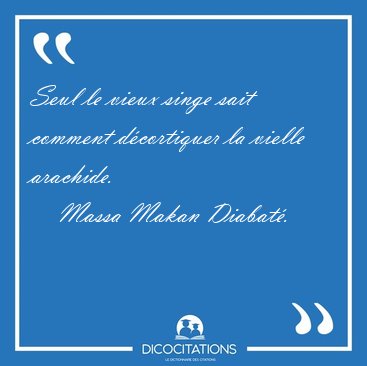 Seul le vieux singe sait comment d�cortiquer la vielle [...] - Massa Makan Diabat�...