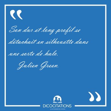 Son dur et long profil se d�tachait en silhouette dans une sorte [...] - Julien Green...