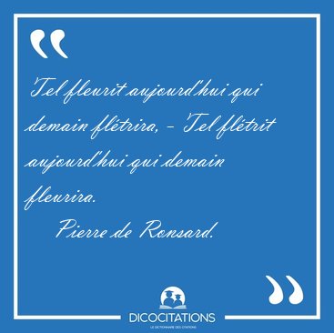 Tel fleurit aujourd'hui qui demain fl�trira, - Tel fl�trit [...] - Pierre de Ronsard...