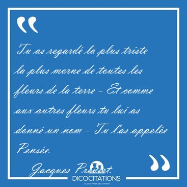Tu as regard la plus triste la plus morne de toutes les fleurs [...] - Jacques Prvert...