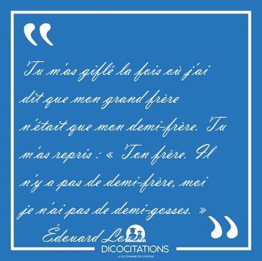 Tu m'as gifl la fois o j'ai dit que mon grand frre n'tait [...] - douard Louis...