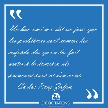 Un bon ami m'a dit un jour que les probl�mes sont comme les [...] - Carlos Ruiz Zaf�n...