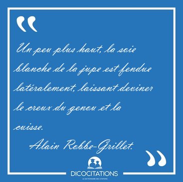 Un peu plus haut, la soie blanche de la jupe est fendue [...] - Alain Robbe-Grillet...