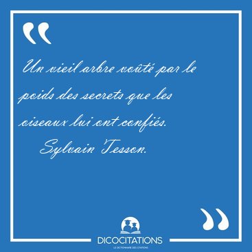 Un vieil arbre vot par le poids des secrets que les oiseaux [...] - Sylvain Tesson...