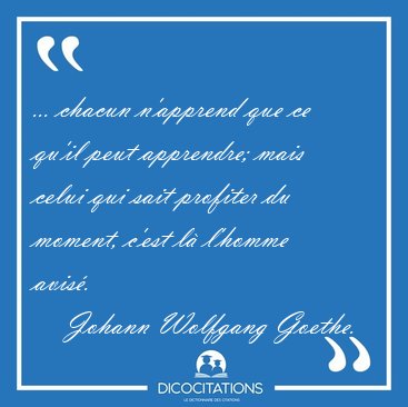 ... chacun n'apprend que ce qu'il peut apprendre; mais celui qui [...] - Johann Wolfgang Goethe...