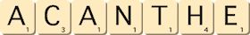 acanthe