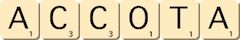 accota accota