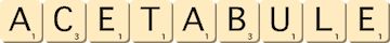 acetabule