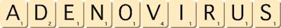 adenovirus adenovirus