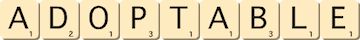 adoptable adoptable