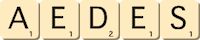 aedes