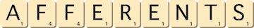 afferents afferents