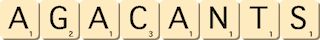 agacants agacants