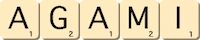 agami agami