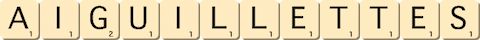 aiguillettes aiguillettes