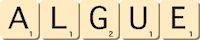 algue