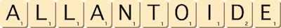 allantoide