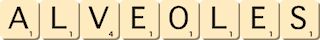alveoles alveoles