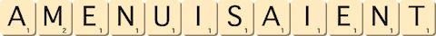 amenuisaient amenuisaient