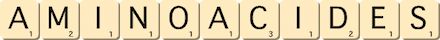 aminoacides