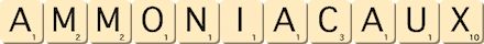 ammoniacaux ammoniacaux