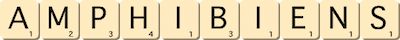 amphibiens amphibiens