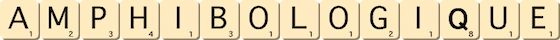 amphibologique