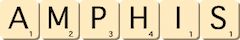 amphis