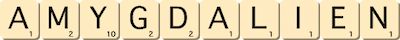 amygdalien