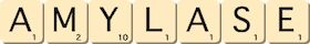amylase amylase